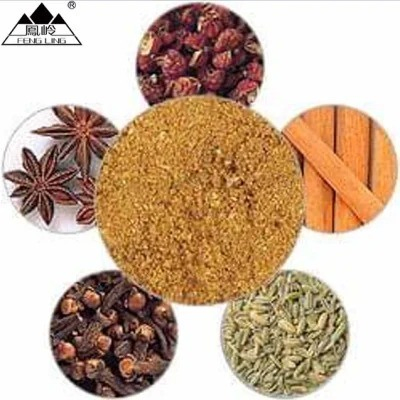 Chinese Traditional Seasoning Five Spice Powder/High Quality Five Spice Powder Supplier