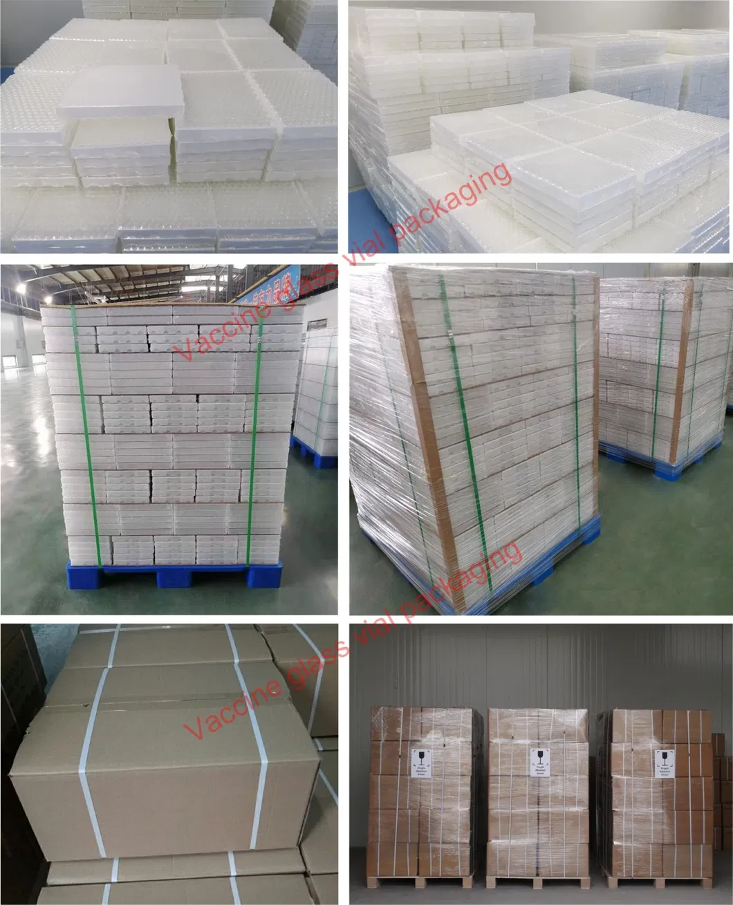 Shipping and Logistics