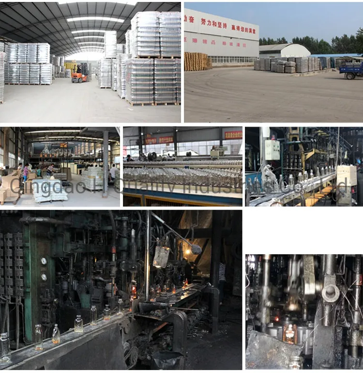 Glass Bottle Display 8