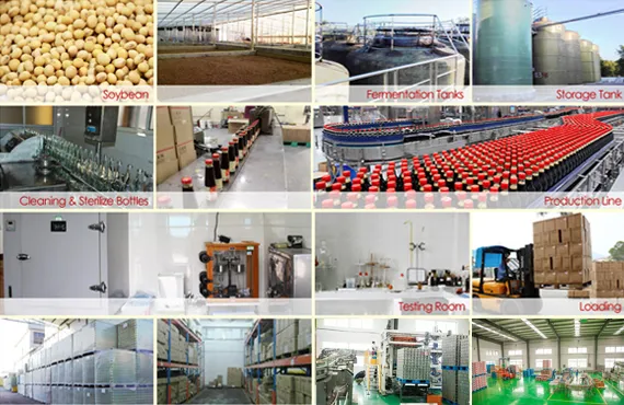 Soy Sauce Production