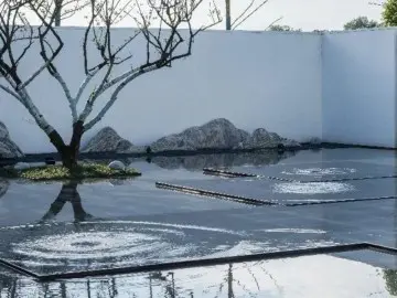 Ripple Device: The Precision Instrument for Creating Serene Dynamic Waterscapes