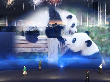 Water curtain movie--customized service