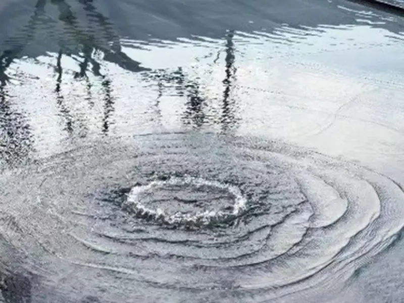 OEM Ripple Device: The Precision Instrument for Creating Serene Dynamic Waterscapes Manufacturer, Suppliers
