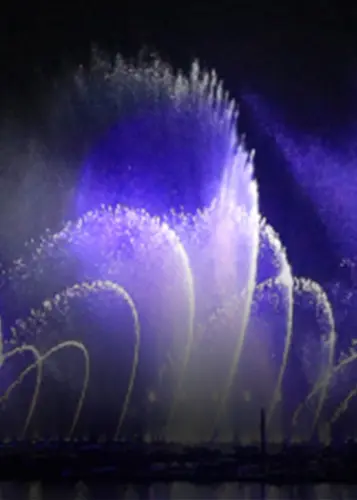 Immersive light and water show performance at night