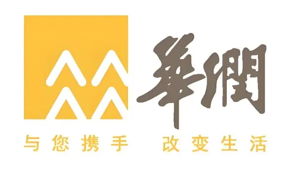 Strategic Partner 10
