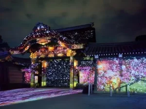 High-Quality Light and shadow show--customized service Manufacturers, Factories