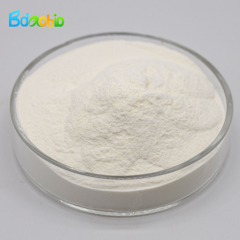 Baiao Supply Mung Bean Protein Food Grade Mung Bean Protein Powder