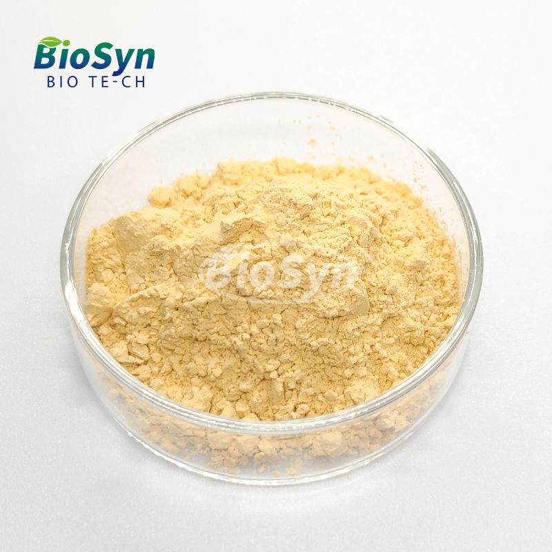 BioSyn Hot Selling Food/Feed Grade 70% Soy Protein Concentrate Powder
