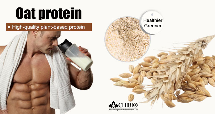 Oat Protein Manufacturing