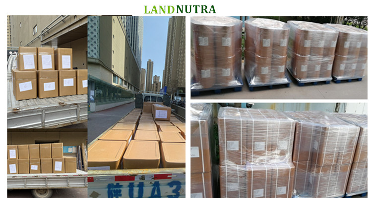 Manufacturing Plant