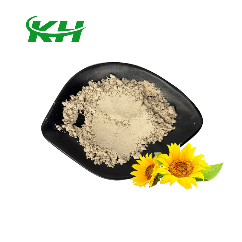 Wholesale High Quality Sunflower Seed Extract Nutrition Enhancing 60% Sunflower Protein Powder