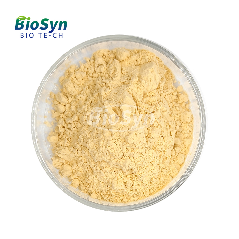 BioSyn Hot Selling Food/Feed Grade 70% Soy Protein Concentrate Powder