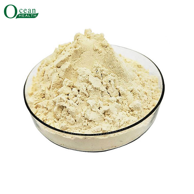 Feed Grade Concentrated Soy Protein for Animals