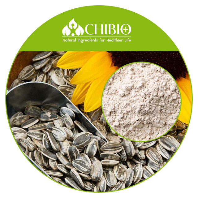 Organic Protein Sunflower Seed Protein Powder with Low Fat Protein fusion