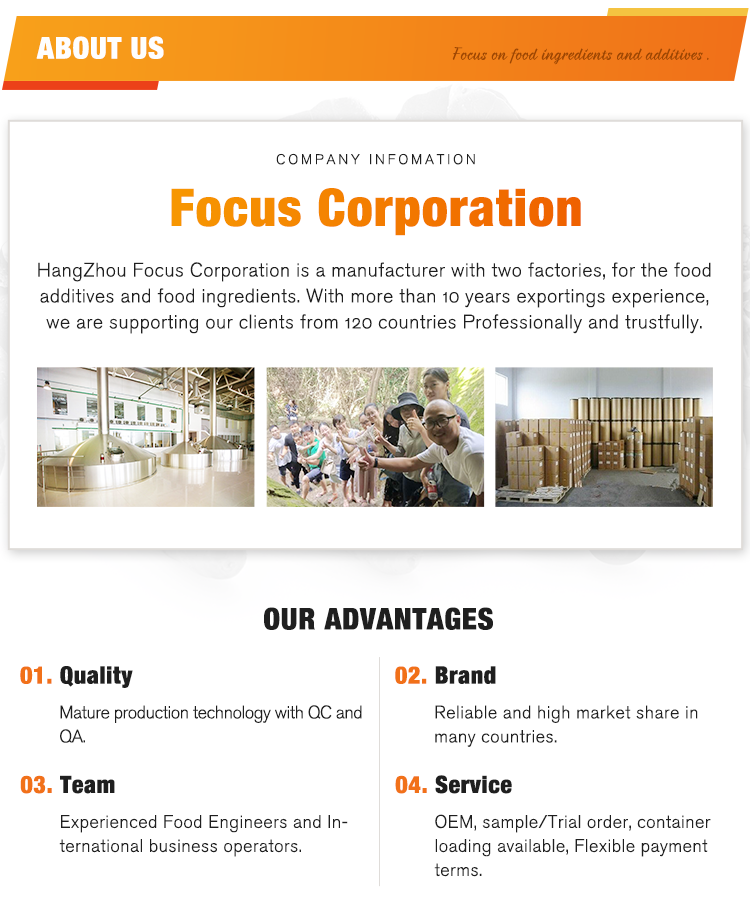 Company Introduction