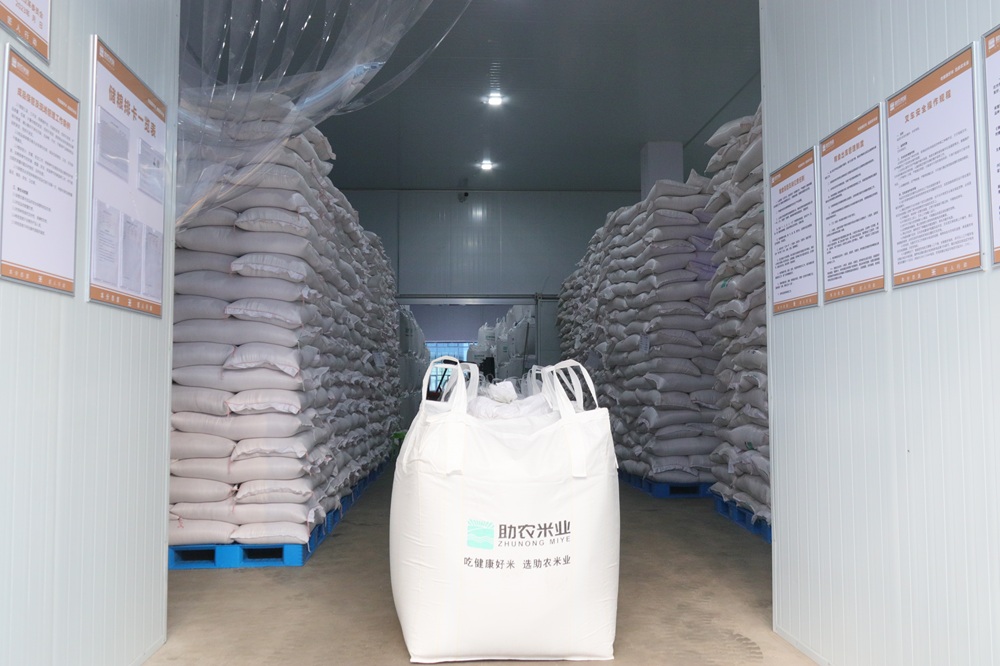 UltraStable Rice Protein Peptides Low Allergy Risk Food Grade Powder for Medical Nutrition Growing Milk Formula Antioxidant