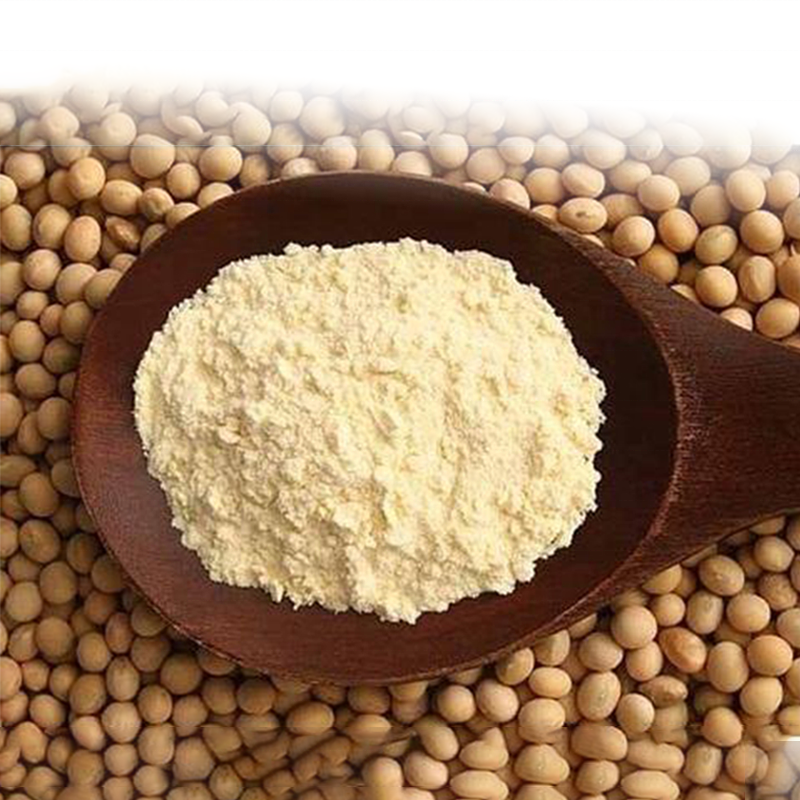 Soy Bean Protein Powder Processing
