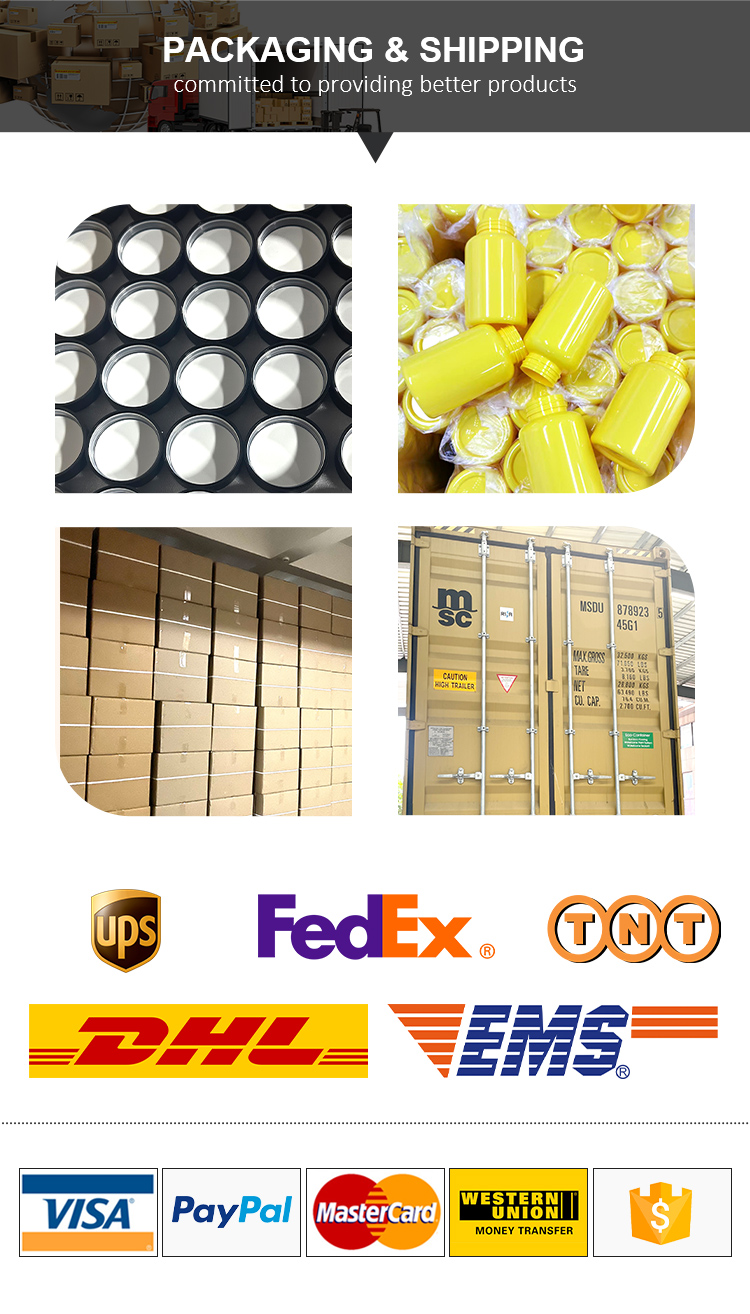 Packaging and Shipping Process