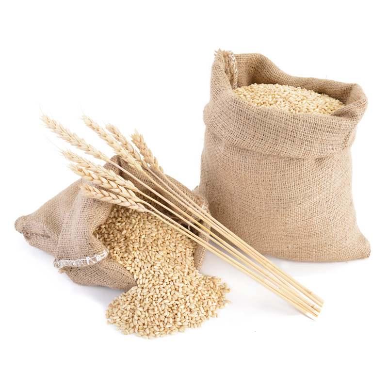 Wheat Grain Image 1