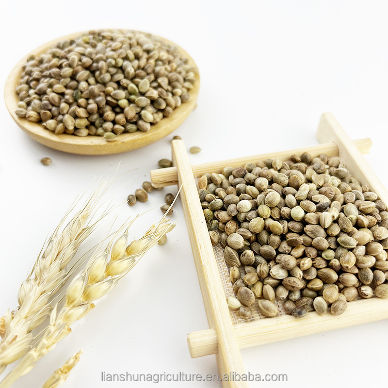 Hemp seed sample 3
