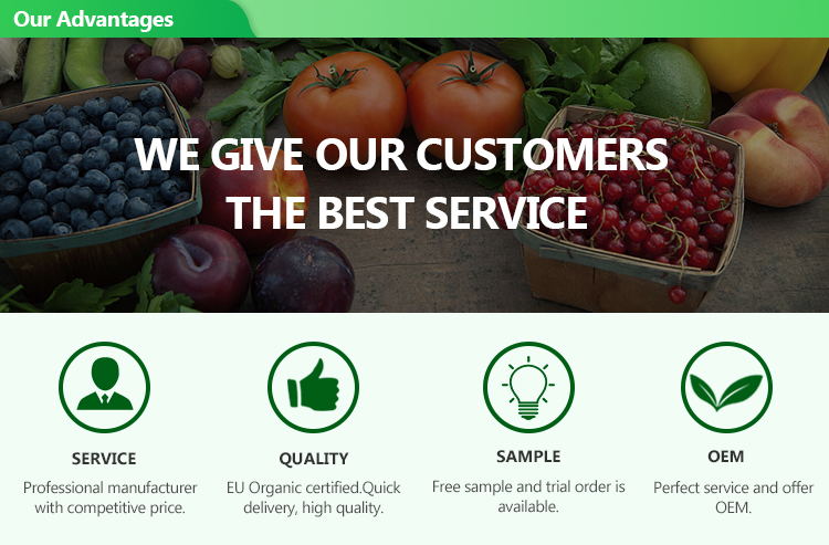 Services and Support Overview