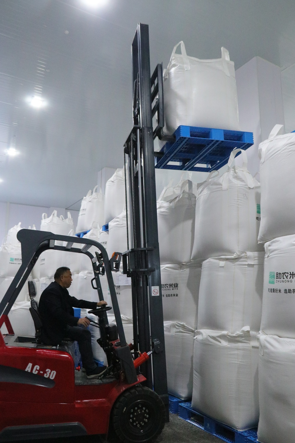 UltraStable Rice Protein Peptides Low Allergy Risk Food Grade Powder for Medical Nutrition Growing Milk Formula Antioxidant