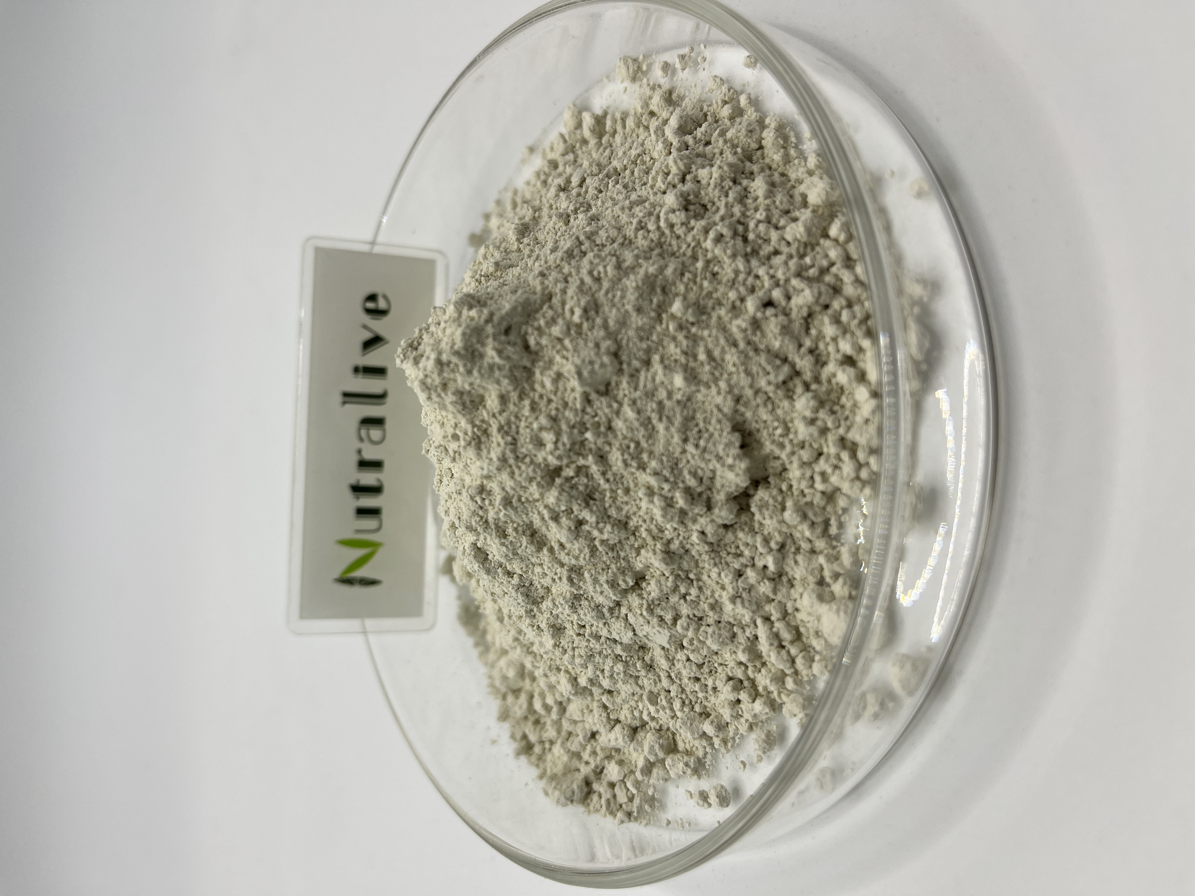 Food Grade Health Supplement Supply Protein Powder 100% Natural Plant Extract Organic Sunflower Seed Oil Powder