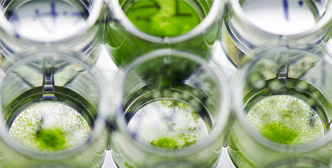 Algal Biotechnology Application