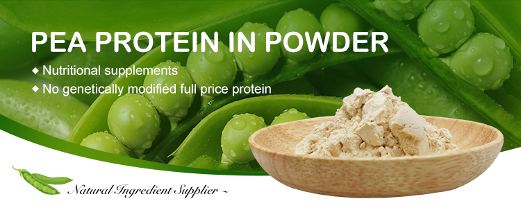 Pea Protein Powder