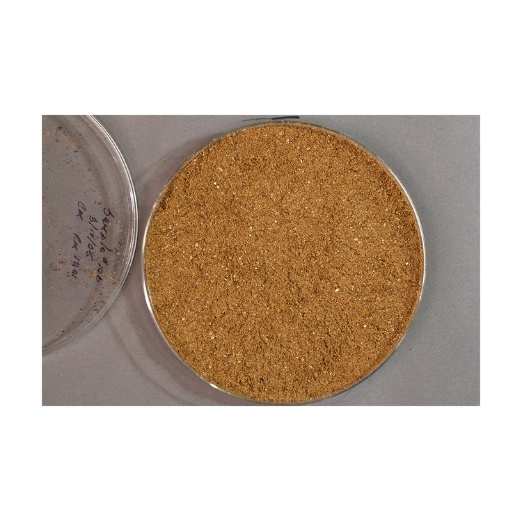 Premium Canola Meal High Protein Animal Feed Ingredient for Livestock and Poultry Nutrition