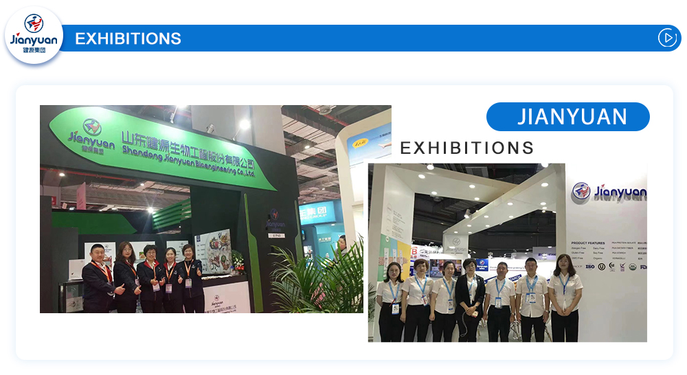Exhibition Image