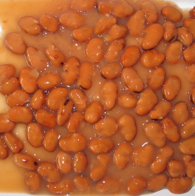 Premium Canned Fava Beans Plump Mild Nutty Flavor | Ready-to-Eat Water &amp; Salt Preserved Kosher Brine Protein-Rich Legume