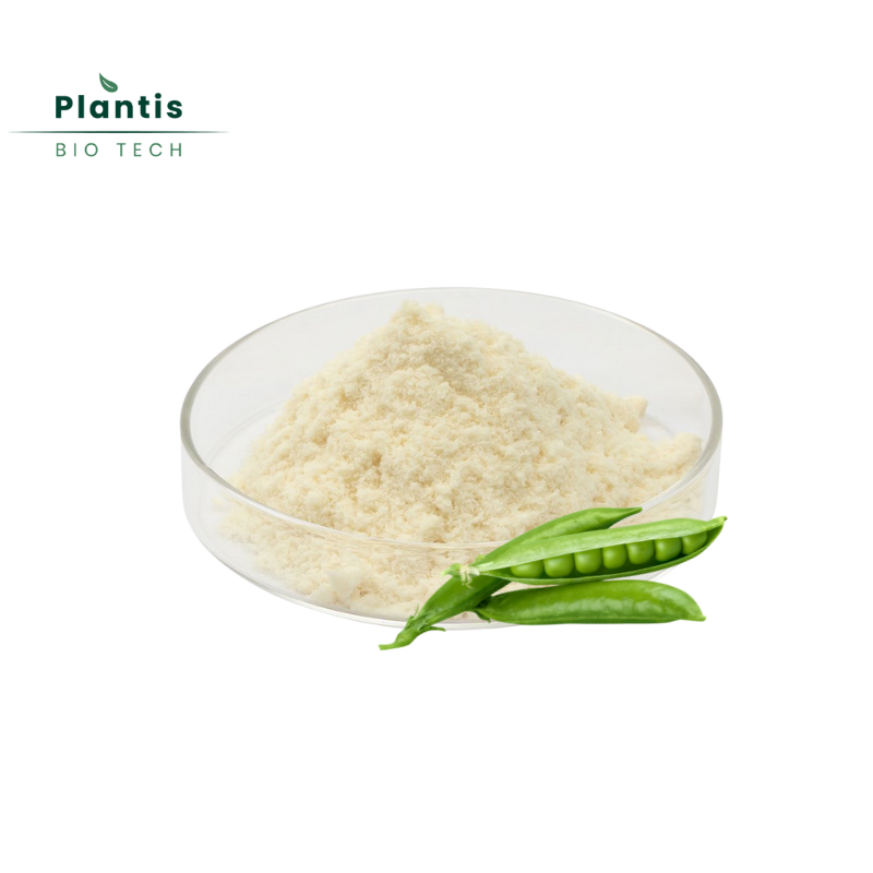 Pea Protein Hydrolyzed Isolate Extract Muscle Recovery &amp; Nutritional Support 80% Pea Protein Powder