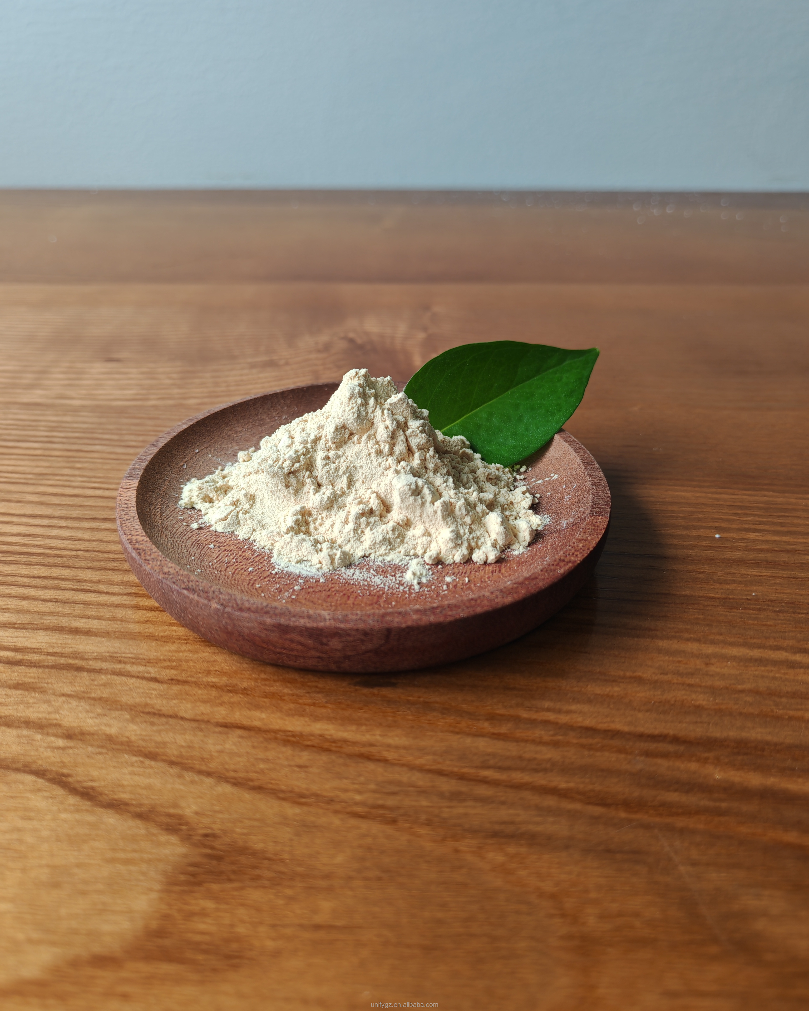 Wholesales Non-GMO Fava Bean Flour Protein Powder Natural Plant Aloe Vera Extract Based Vegan Protein Gluten Free HPLC Tested