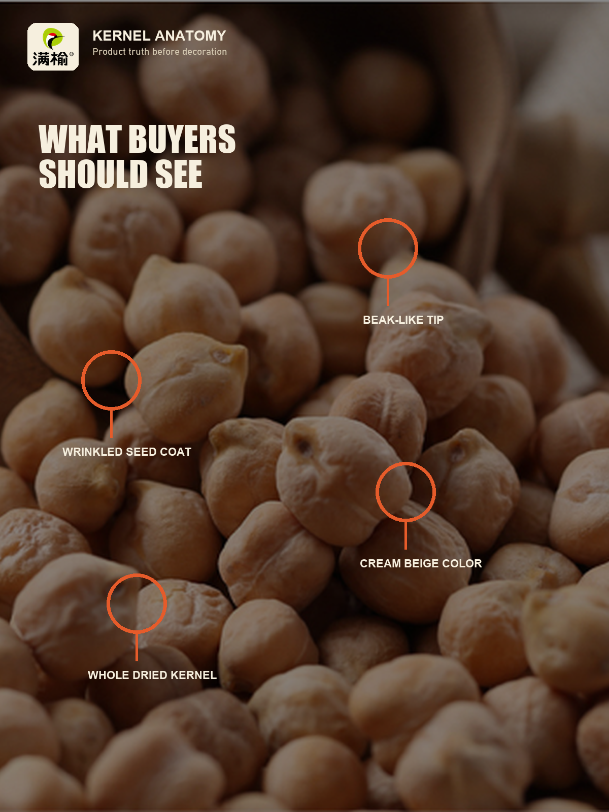 Bulk Tinned White Chickpeas Organic Certified Gluten Free Plant Based Protein Source for Vegan Food Industry Export