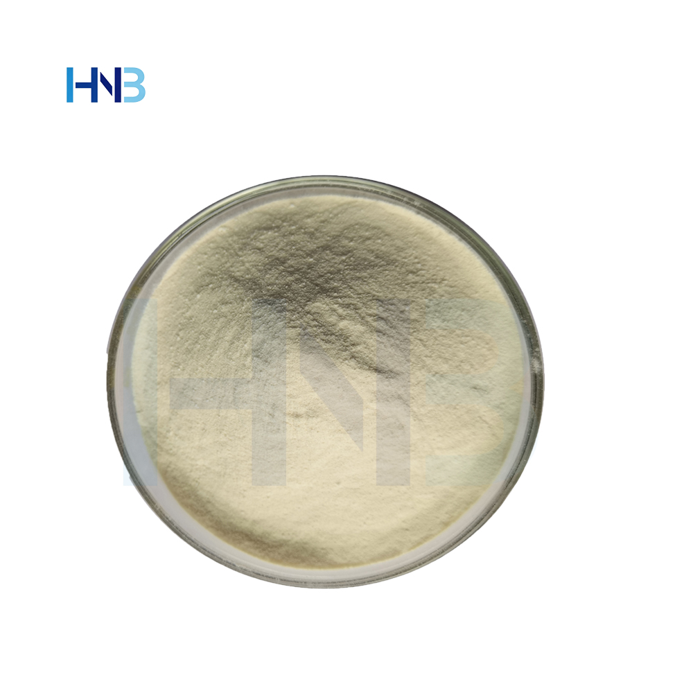 Factory Supplier Soy Protein Peptide Powder 95% Protein Content Small Molecule Water-Soluble Nutrition