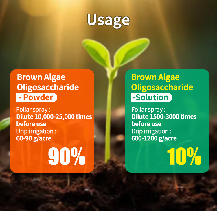 Brown algae oligosaccharide details 4