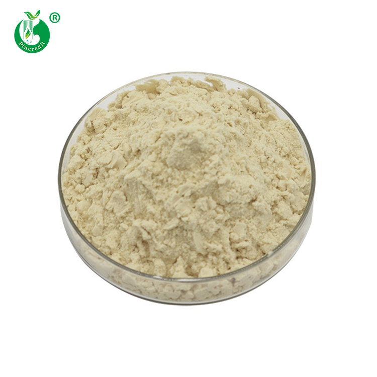 China Supplier Pincredit Wholesale Price High Quality Oatmeal Beta-Glucan Oat Protein Powder