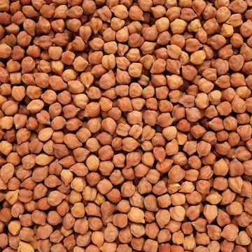 Premium Non-GMO Bulk Raw Whole Split Black Chickpeas Kala Chana 18.22 Percent Protein 98 Percent Purity Low Moisture