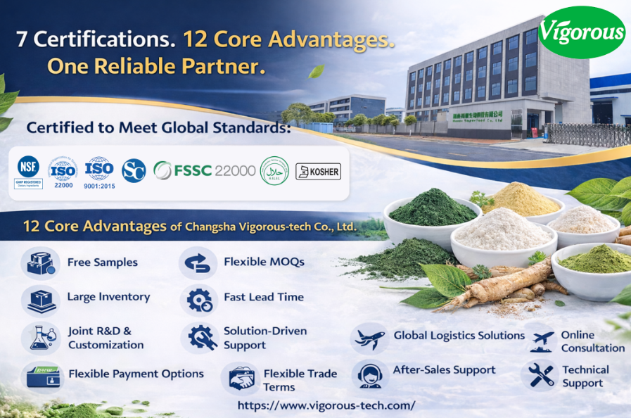 Vegan Non-GMO ISO22000 Food Grade Organic Hydrolyzed 80% Brown Rice Protein Powder