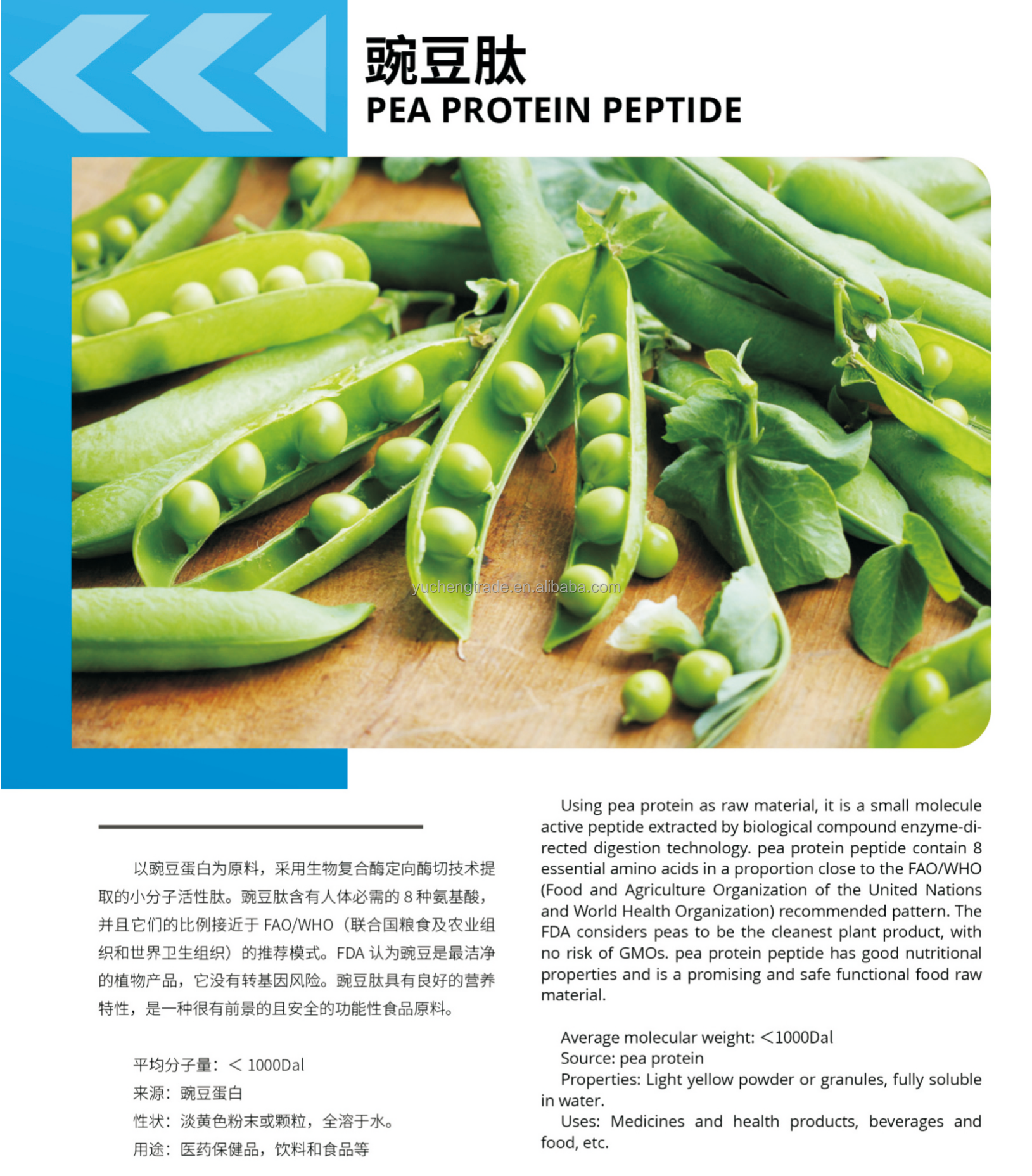 Soy Extract Collagen Detail 1