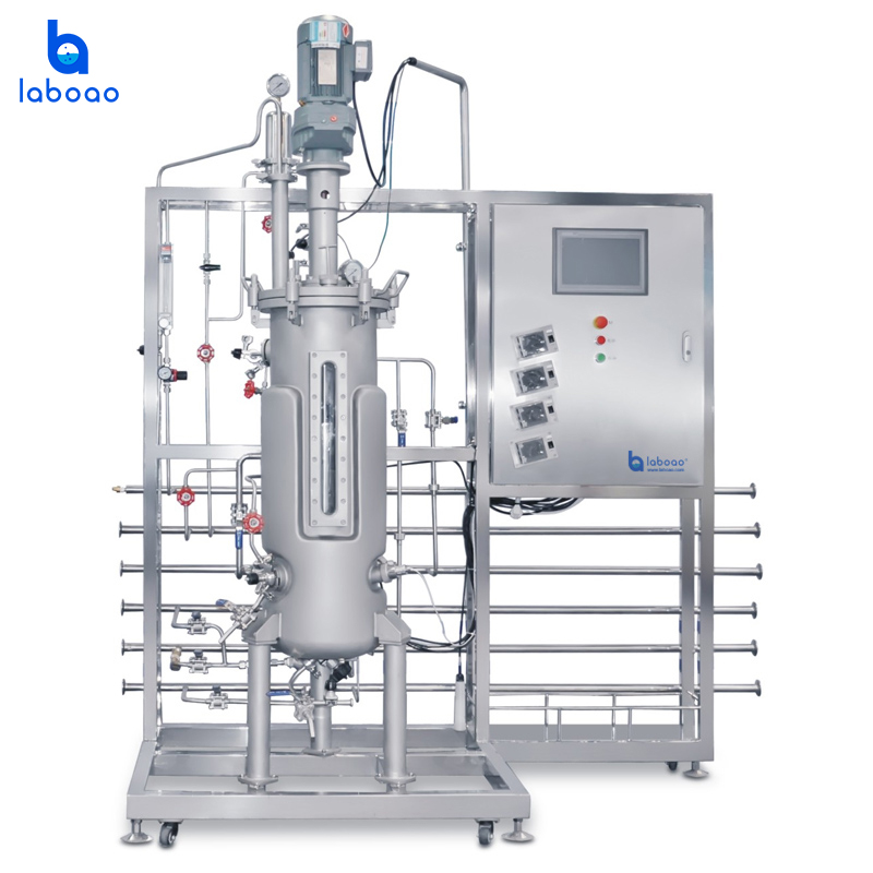 Industrial Photobioreactors Algae Production Fermentor Bioreactor For Algae Photobioreactor Plant Photo Fermenter