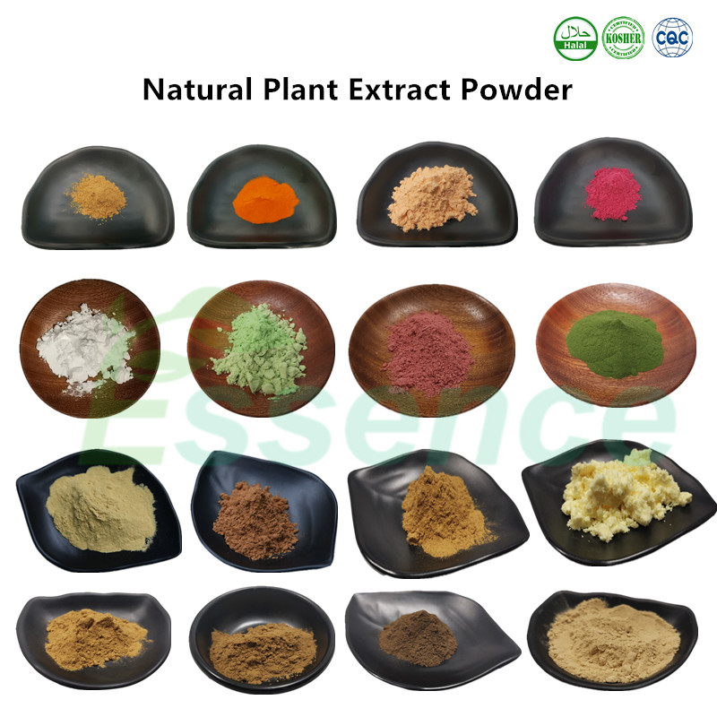 100% Natural Potato Powder Concentrate Bulk Potato Protein Powder