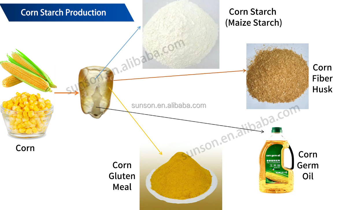Reaction Parameters Illustration