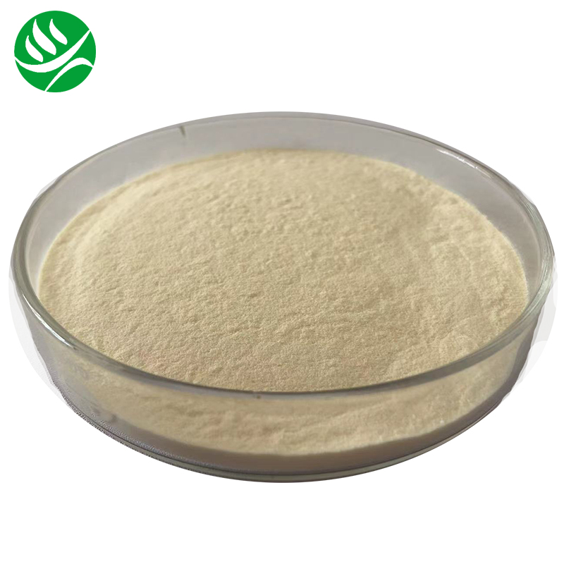 Factory Supply Food Grade Hydrolyzed Canola Protein Powder Hydrolyzed Canola Protein Isolate Powder