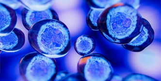 Tissue Engineering Application