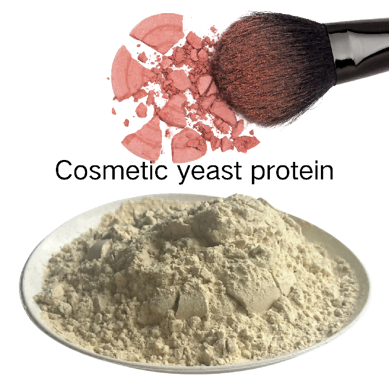 Yeast Protein F88MC Refined Fermented Protein Used in Medical Supplement Probiotic Formula and Health Care