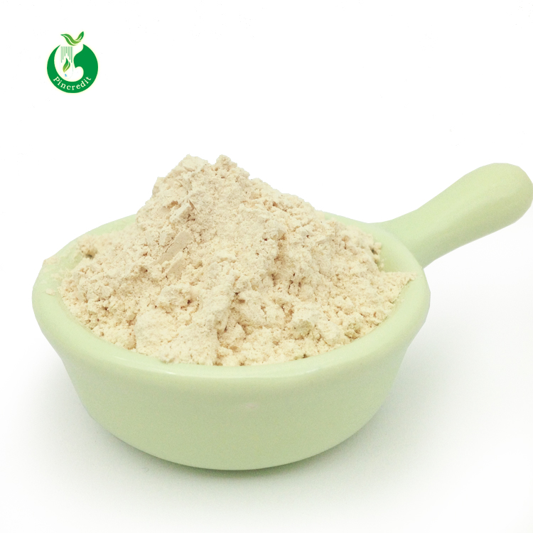 Wholesale Bulk Vegan Organic Pea Protein Powder