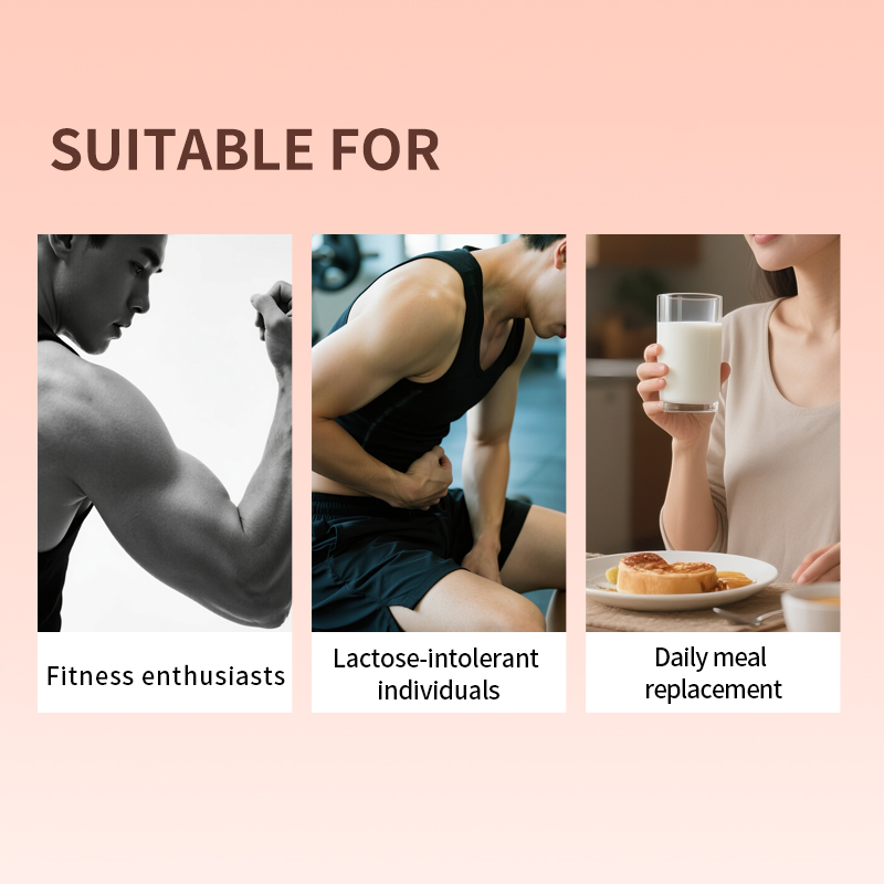 OEM/ODM 93% High Purity Yeast Protein Powder,Plant Based Protein Solid Drink for Vegan Gym Meal Replacement