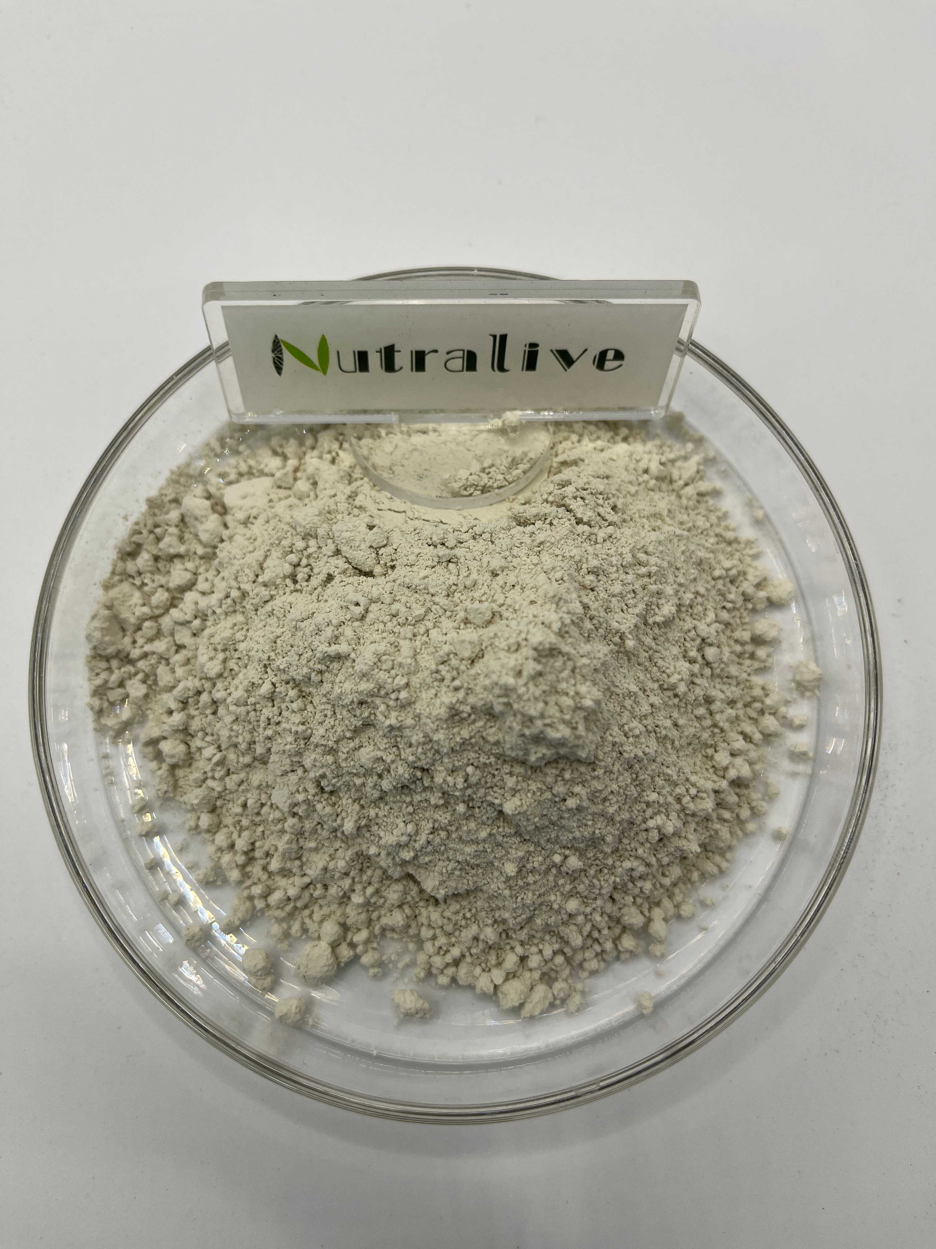 Product Detail 1